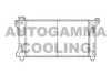 AUTOGAMMA 103135 Radiator, engine cooling